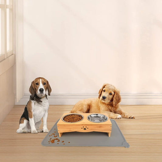 Elevate Your Pet's Dining Experience with an Elevated Feed Station for a lightning deal