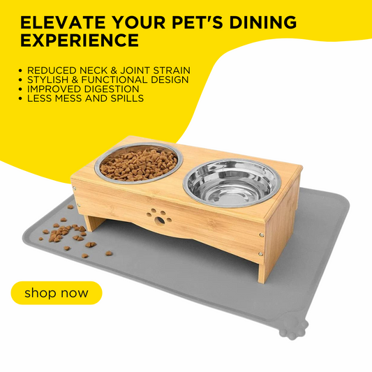 Elevate Your Pet's Dining Experience with Skython Elevated Dog Bowls