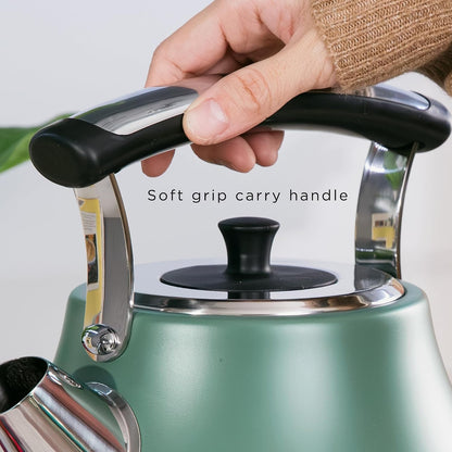 Rangemaster Classic Kettle RMCLDK301MG (Matt Mineral Green)