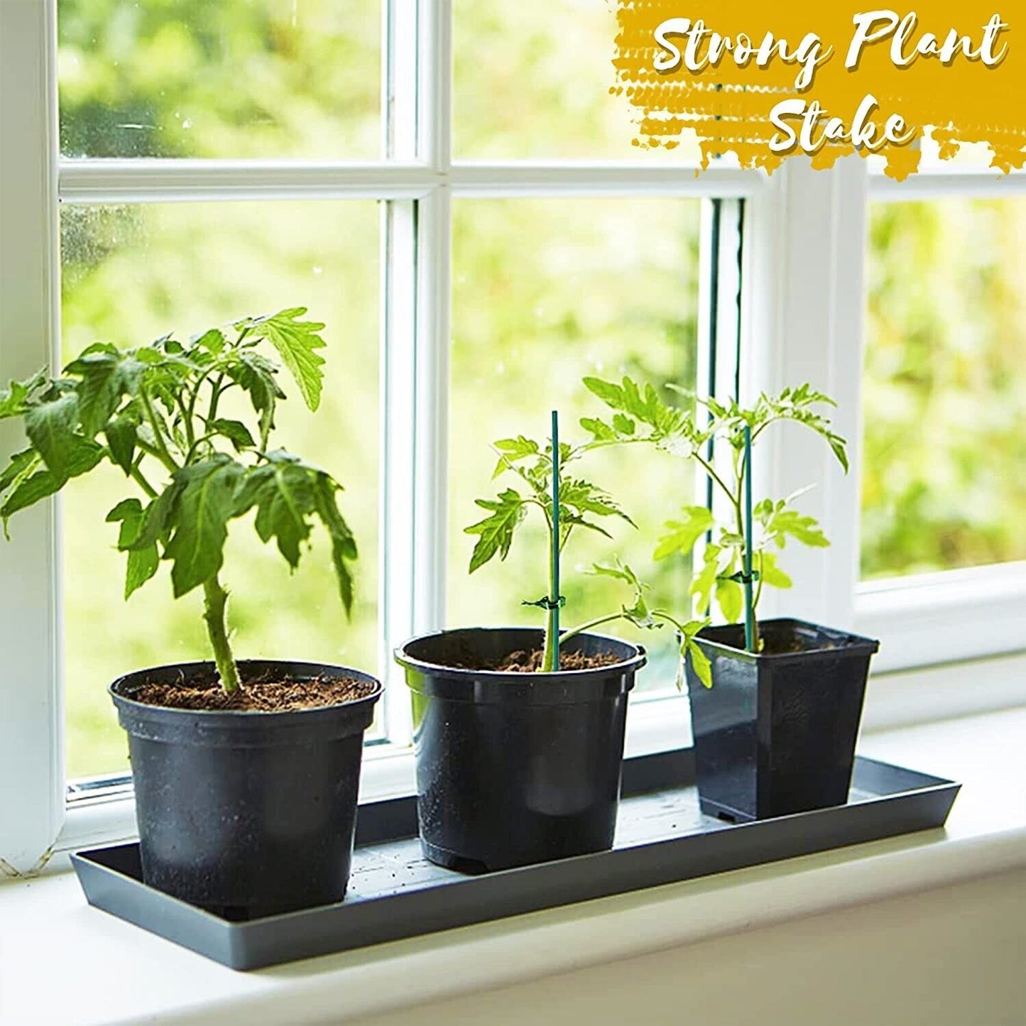 Plant Support Sticks Garden Plant Supports Tomato 50 Pack